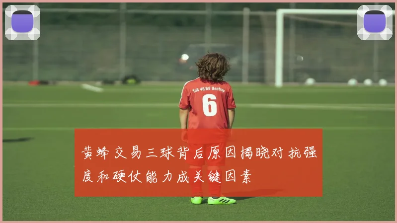黄蜂交易三球背后原因揭晓对抗强度和硬仗能力成关键因素